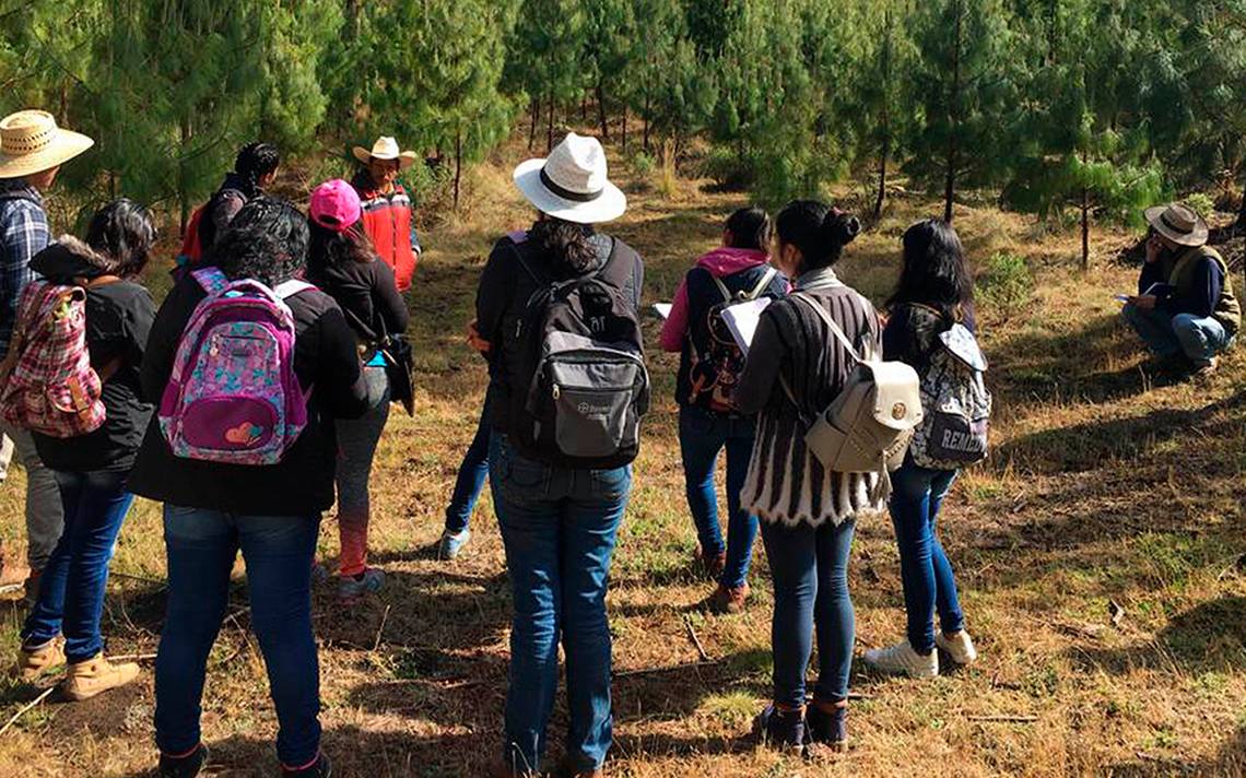 Buap Gradúa A Su Primera Generación De La Licenciatura En Gestión Territorial E Identidad 7456